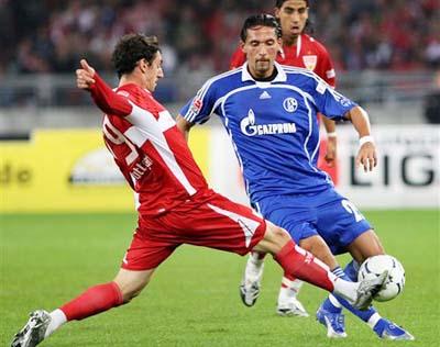 这项开创性 这项开创性